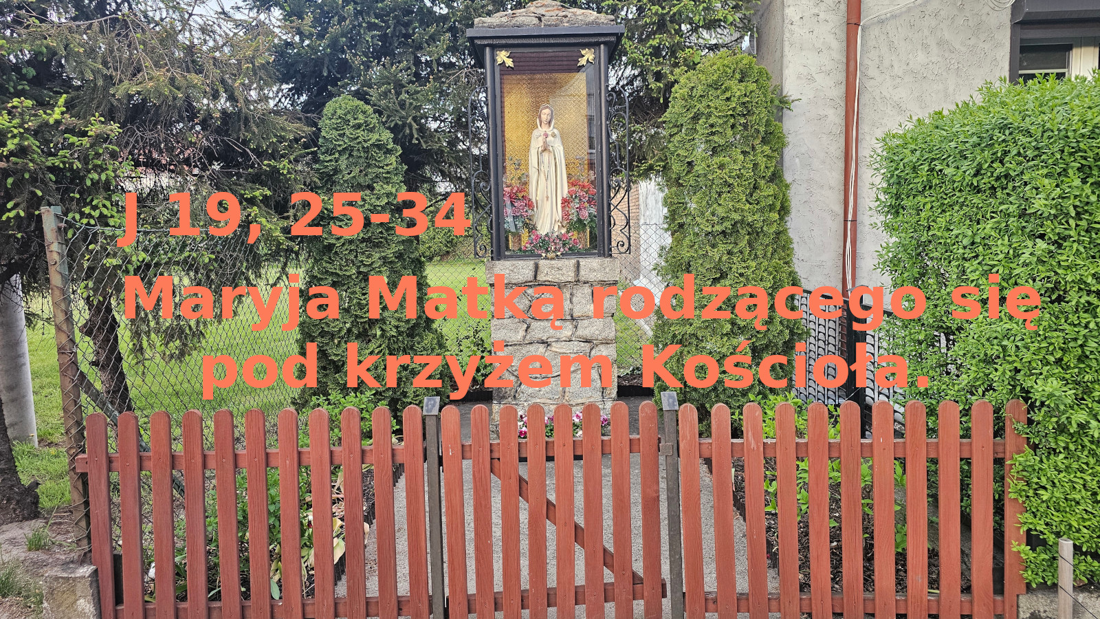 Maryja Matką rodzącego się pod krzyżem Kościoła. – ilustracja do rozważania biblijnego na 25 maja 2026 – J 19, 25-34