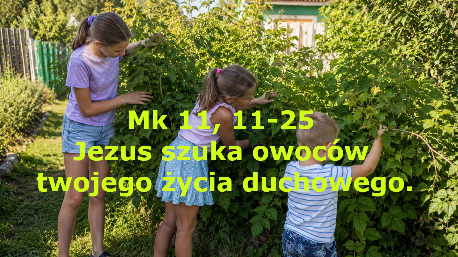 Jezus szuka owoców twojego życia duchowego.