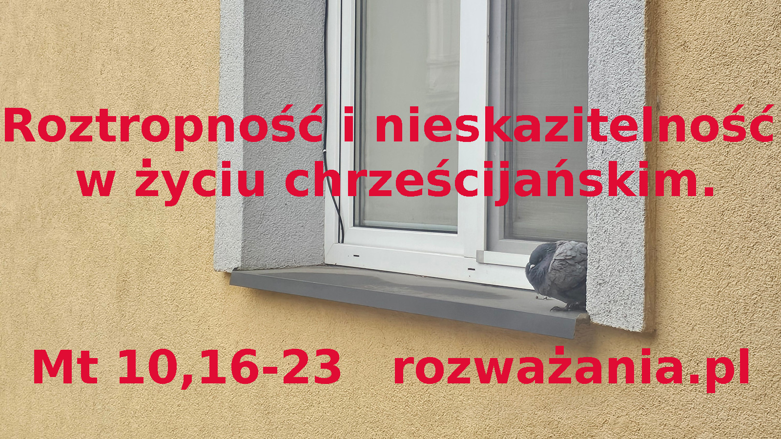 Roztropność i nieskazitelność w życiu chrześcijańskim.